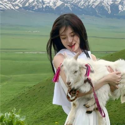 最后的匪帮第一季